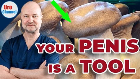 penis mushroom head|Odd reason penises are shaped like mushrooms